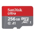 Carte Mémoire Micro SD (256 Go) Sandisk