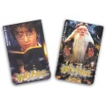 Cartes Mémoires 59 Blocs Duo Harry Potter