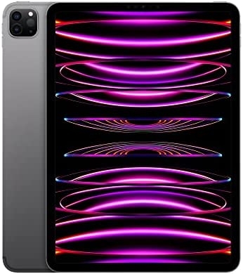 iPad Pro 12 9 2020 Cellular 256 Go Gris Sideral - Tablette