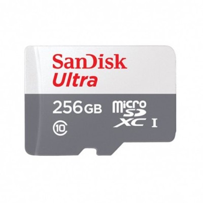 Carte Mémoire MicroSDHC Ultra 256 Go SanDisk - Multimedia
