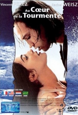 Au Coeur De La Tourmente - DVD