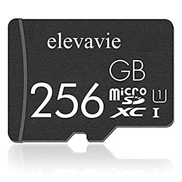 Carte Mémoire Micro SD (256 Go) Marque Générique - Switch