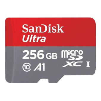 Carte Mémoire Micro SD (256 Go) Sandisk - Switch