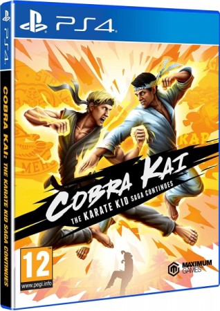 Cobra Kai : The Karate Kid Continues   - Playstation 4 