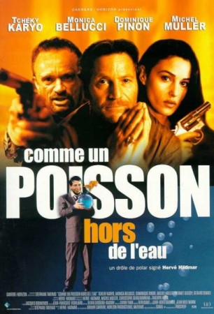 Comme un poisson hors de l eau - DVD