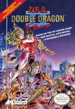 Double Dragon II: The Revenge (import USA) en boîte  - NES