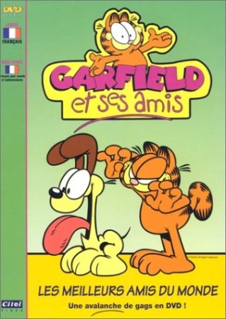 Garfield et ses amis 2 dvd - DVD