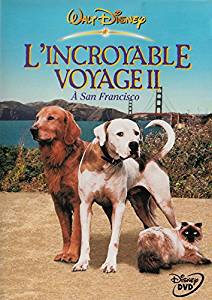 L'Incroyable Voyage 2 - DVD