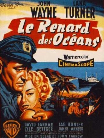 Le renard des oceans - DVD