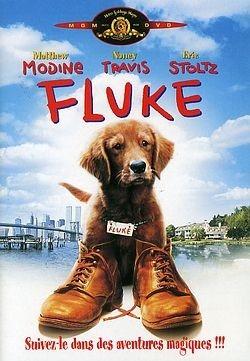 Fluke - DVD