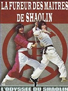 La Fureur Des Maîtres De Shaolin - DVD