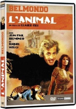L'Animal (Jean-Paul Belmondo) - DVD