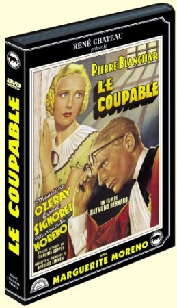 Le Coupable - DVD