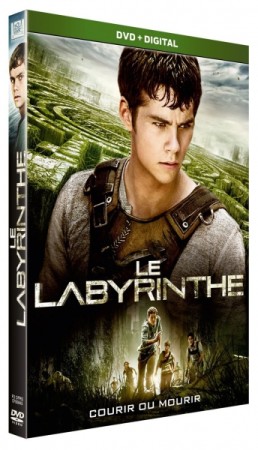 Le labyrinthe - DVD
