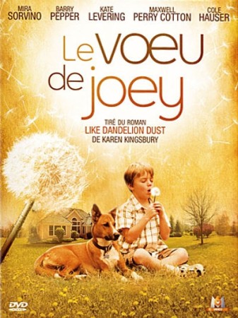 Le voeu de joey - DVD