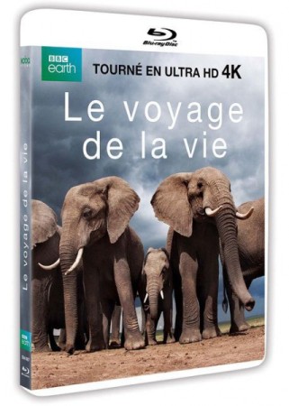 Le Voyage De La Vie  - BluRay