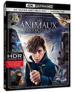 Les Animaux Fantastiques 4K  - BluRay