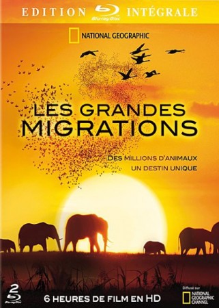 National Geographic - Les Grandes Migrations - Édition Intégrale - BluRay