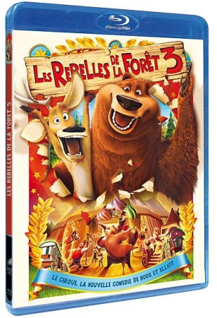 Les Rebelles De La Forêt 3 - BluRay