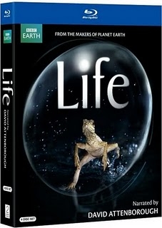 Life (David Attenborough) - BluRay