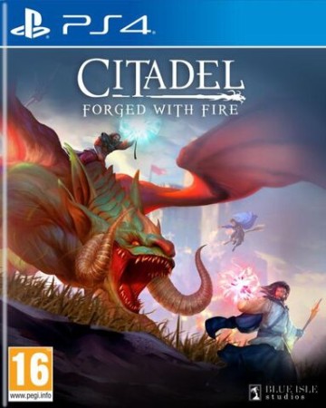 Citadel: Forged with Fire  - Playstation 4 