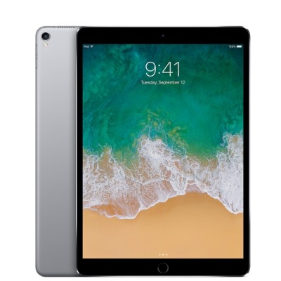iPad Pro 10,5 Cellular 256 Go Gris Sideral - Tablette