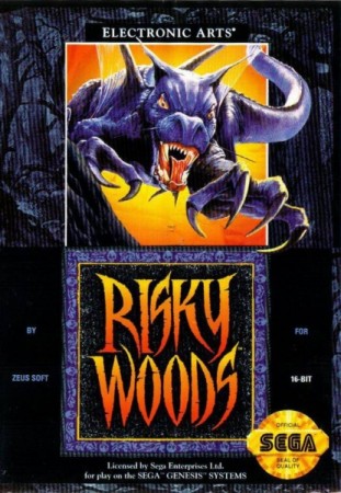 Risky Woods (import USA)  - Megadrive