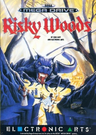 Risky Woods en boîte - Megadrive