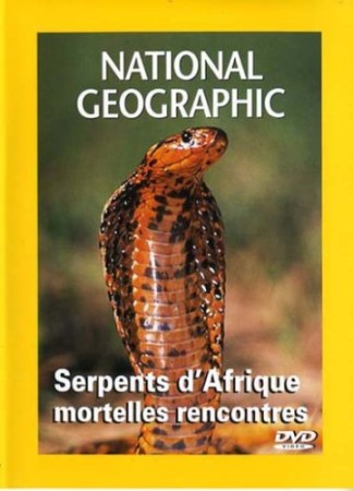 Serpents d afrique - DVD