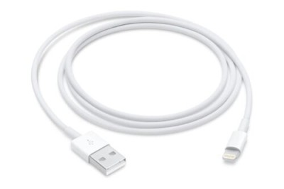 Câble Lightning vers USB 1 m - Apple  - Téléphone