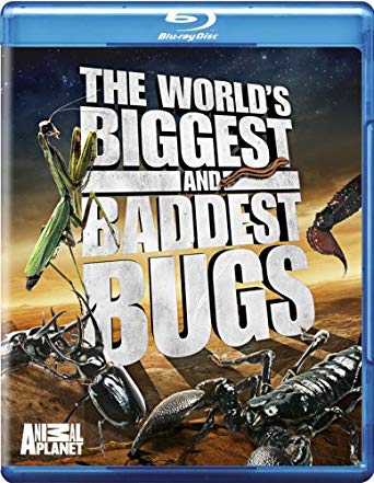The World's Biggest & Baddest Bugs (import anglais) - BluRay