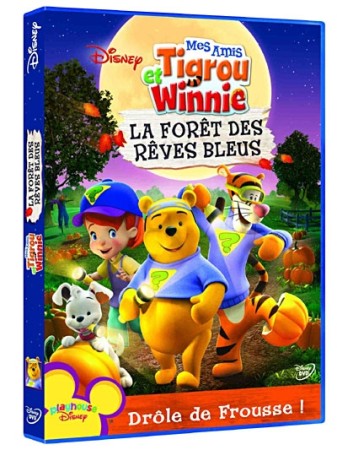 Mes amis tigrou et winnie : la foret des reves bleus - DVD