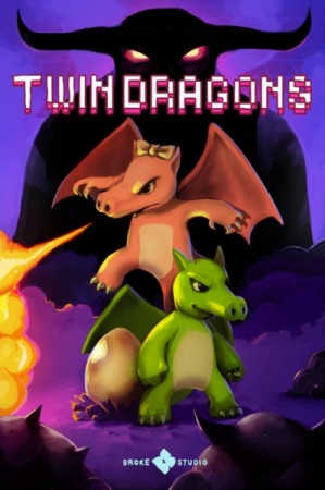 Twin Dragons en boîte - NES