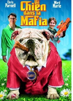 Un chien dans la mafia - DVD