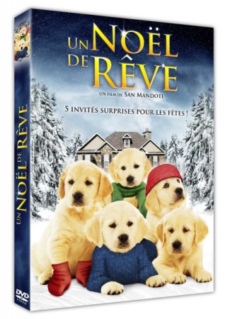 Un Noël de rêve - DVD