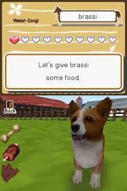 DS ANIMAL PARADISE 1