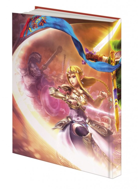 Hyrule warriors collector guide (2)