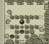 mole mania nintendo 3ds 1349374498 006