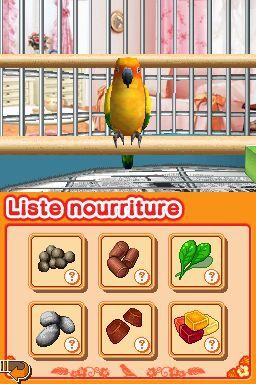 mon ami le perroquet nintendo ds 014