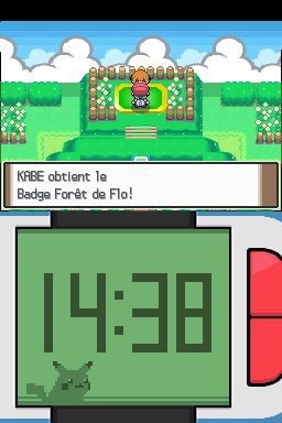 pokemon platine screen1