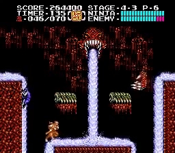 Shadow Warriors II 3