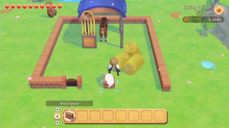 Story Of Seasons Pioneers of Olive Town 5