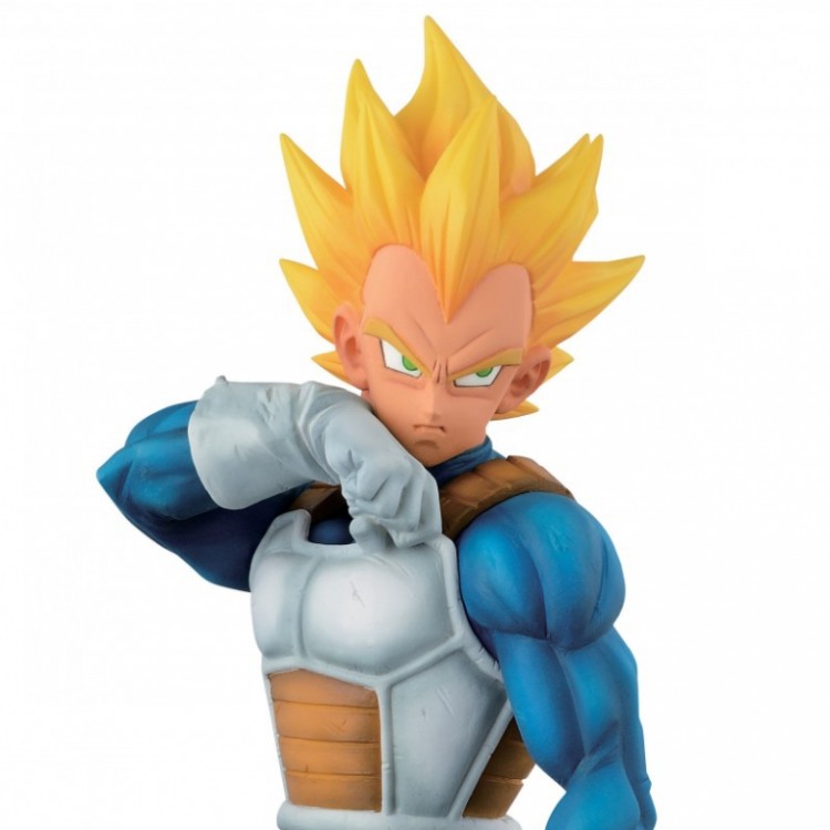 VEGETA RESOLUTION OF SOLDIERS